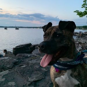 Meet your Posher, Brian